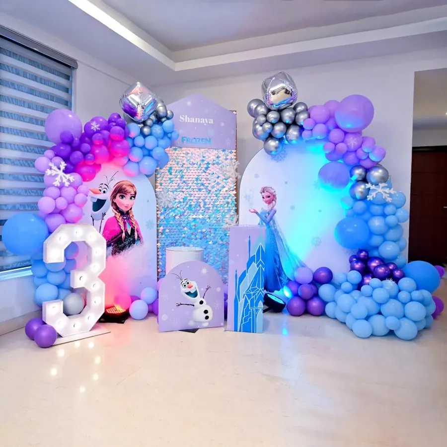 Frozen Theme Decoration in Hyderabad
